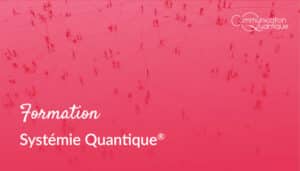 Formation professionnelle Systémie Quantique