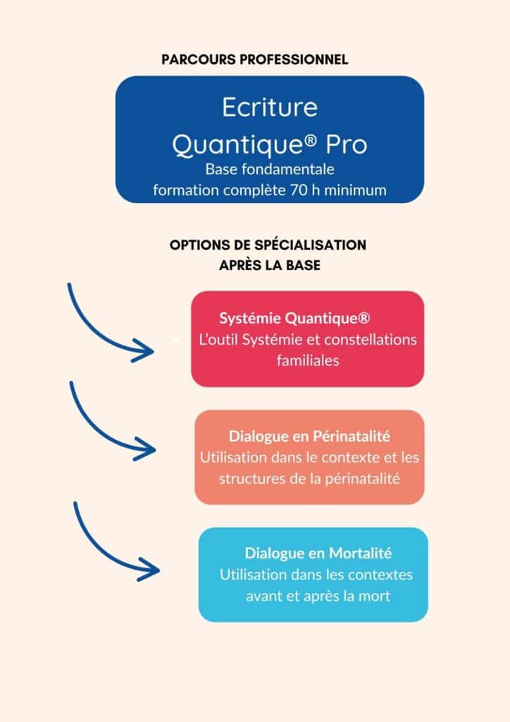 parcours professionnel