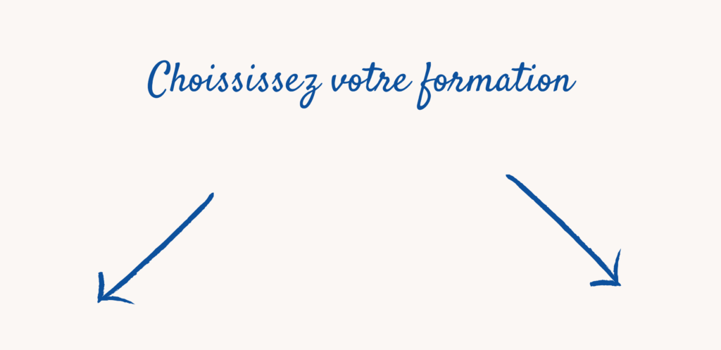 choix du pro ou du particulier