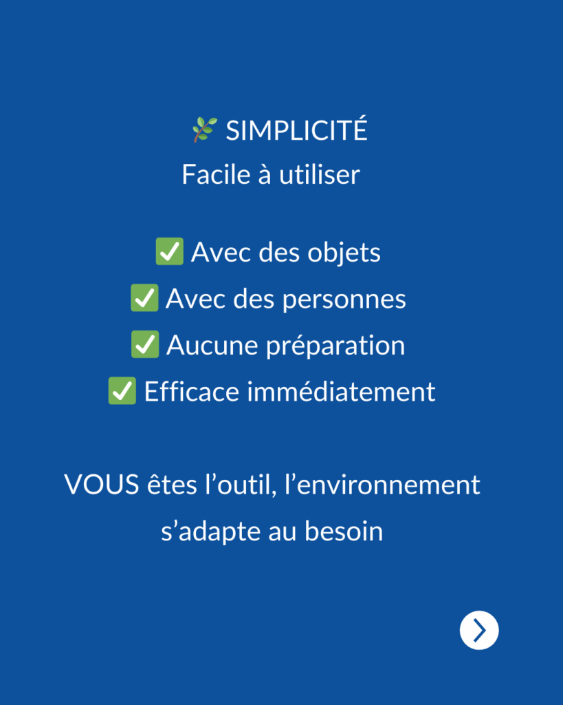 systémie 4