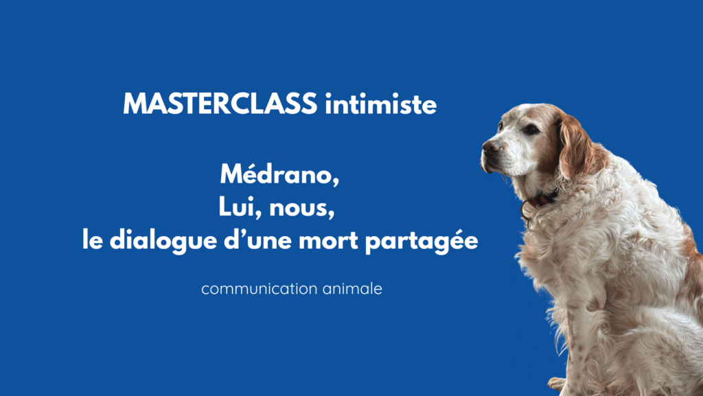 communication animale