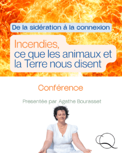 Incendies, ce que les animaux et (1) conférence feu